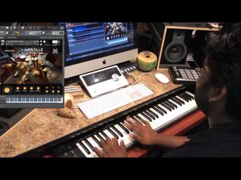 Johann Plays Laventille Rhythm Section for Kontakt