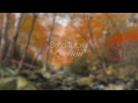 Sotto Tutorial: An Overview