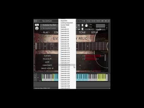 Evolution Dry Relic - Overview & Preset Demo