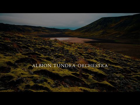 Albion V Tundra - Orchestra Walkthrough