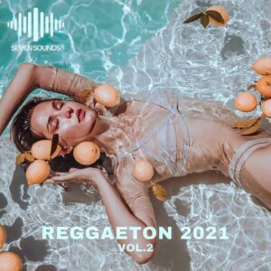 Vibras Reggaeton Vol 2