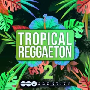 Tropical Reggaeton 2