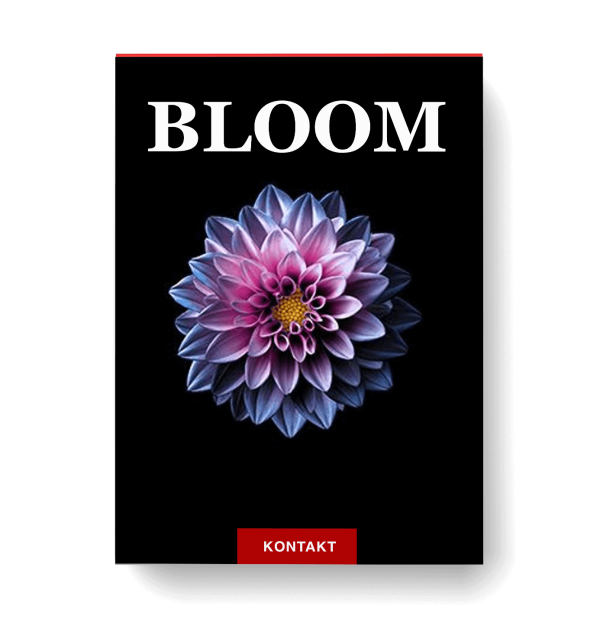 Bloom