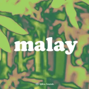 Malay