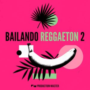 Bailando Reggaeton 2