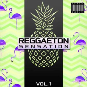 Reggaeton Sensation 1