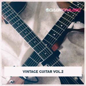 Vintage Guitar Vol 2