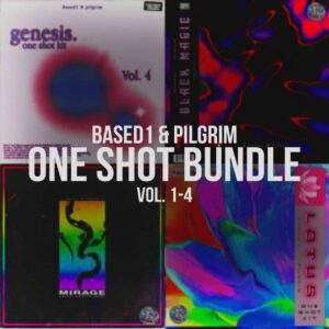 Based1 & Pilgrim - ONE SHOT BUNDLE (vol. 1-4)