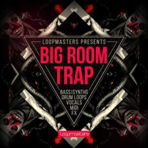 Big Room Trap