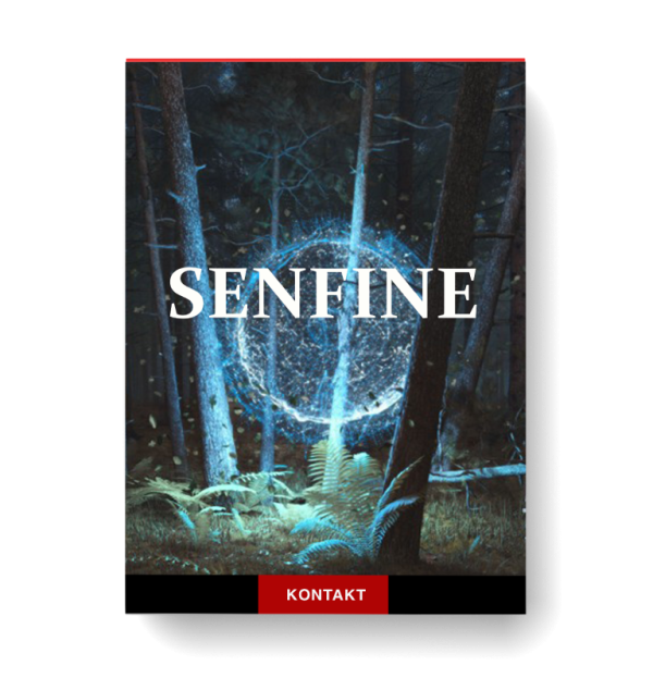 SENFINE