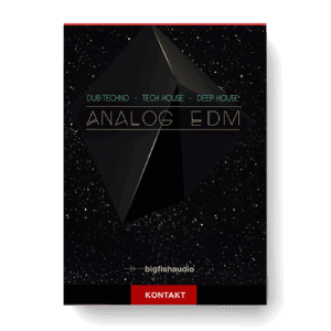 Big Fish Audio - Analog EDM