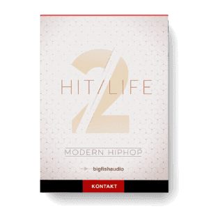 Big Fish Audio - Hit Life 2